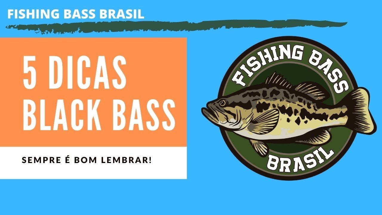 5 dicas para pesca do Black Bass