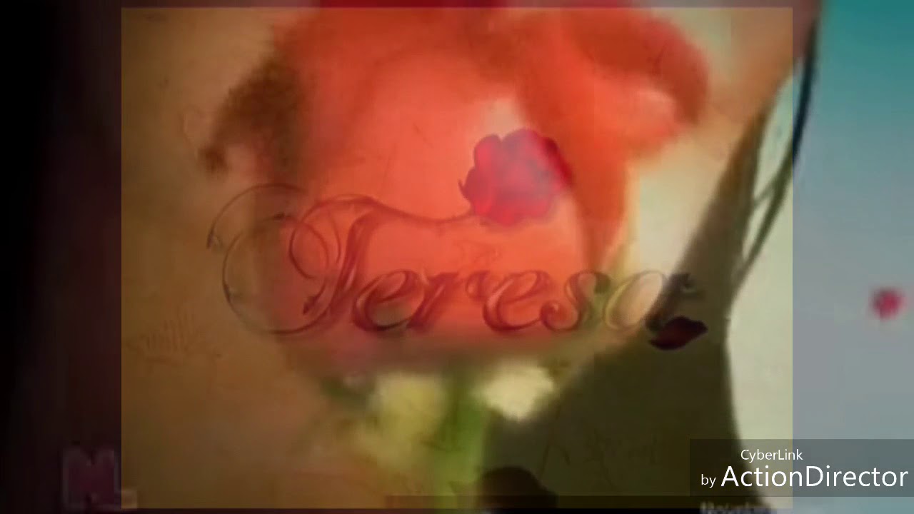 Teresa- Nueva entrada