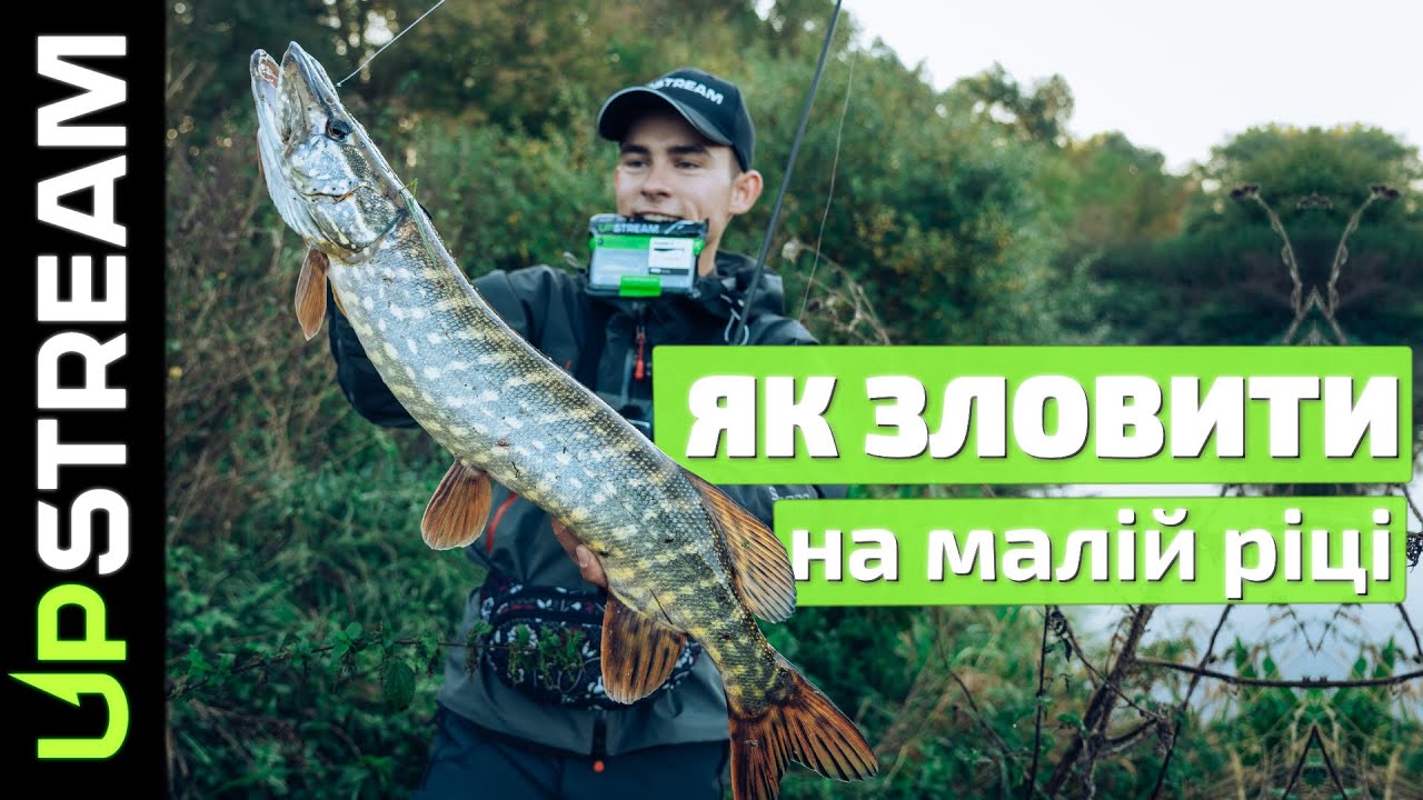 Як ЗЛОВИТИ РИБУ на малій ріці. ПРИМАНКИ на ЩУКУ та ОКУНЯ. Ловля щуки
