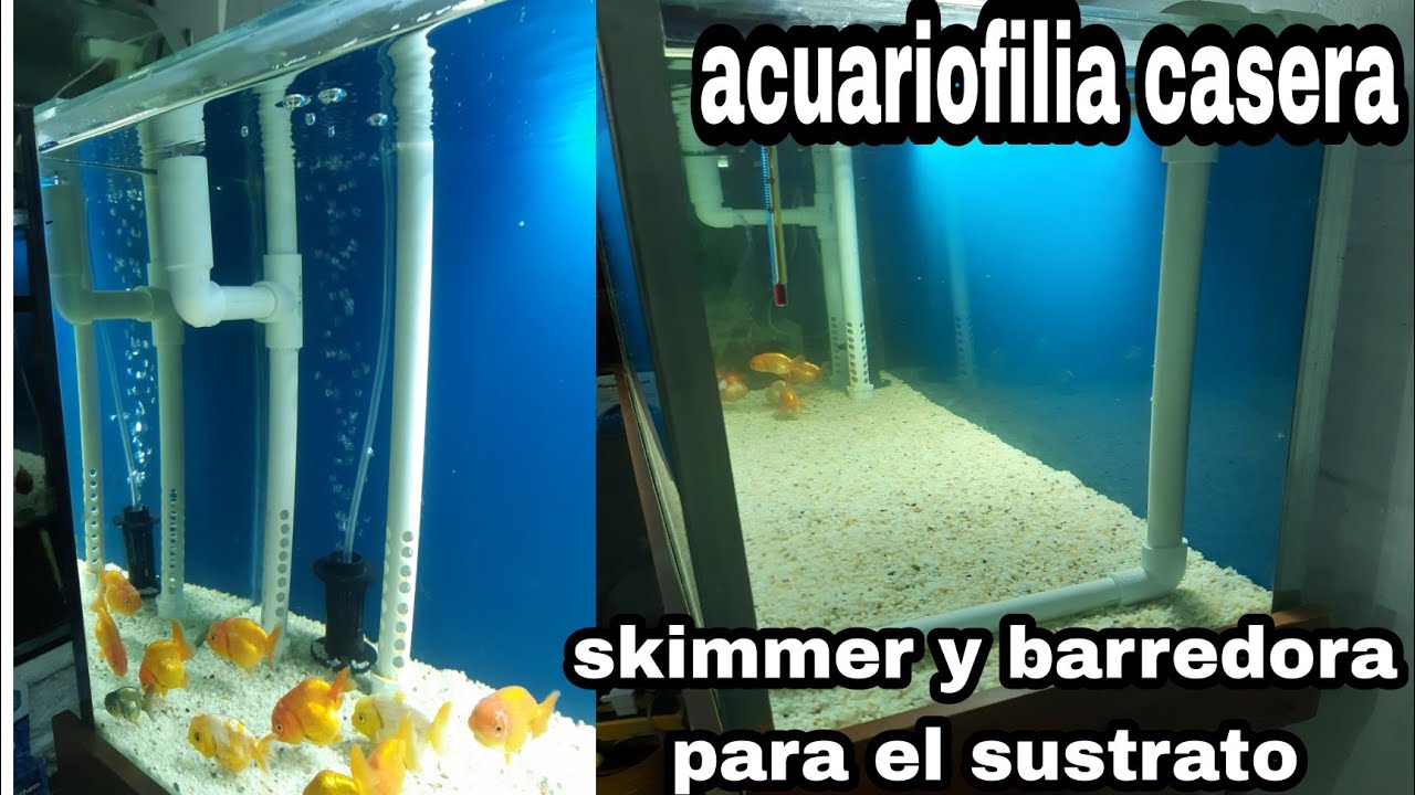 dos adaptaciónes para overflow muy utiles y funcionales👌skimmer y barredora para el sustrato