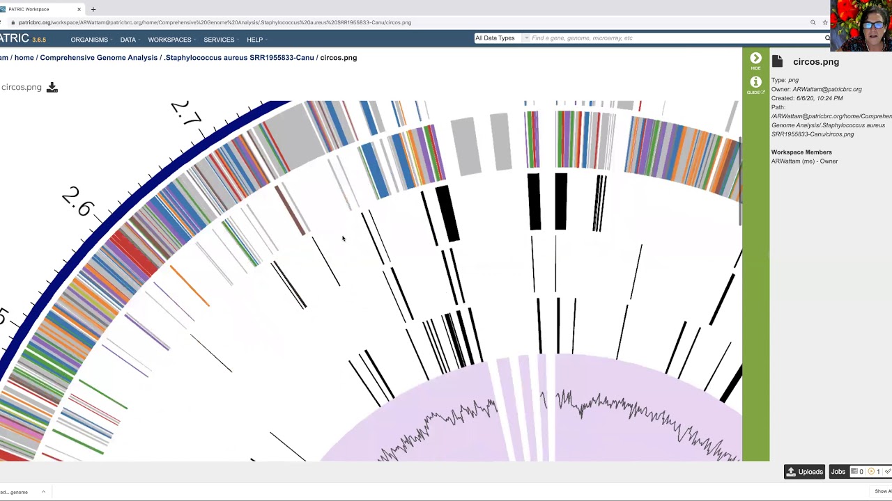 Comprehensive Genome Analysis - Job Results