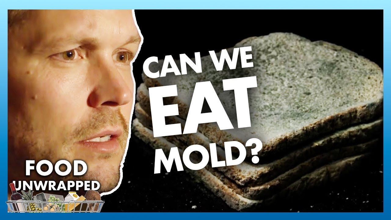 Can humans eat MOLD?! 🍞