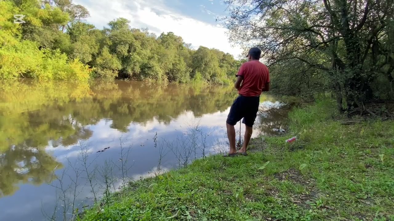 Me Volví loco tantos piques de Tarariras en el arroyo!!