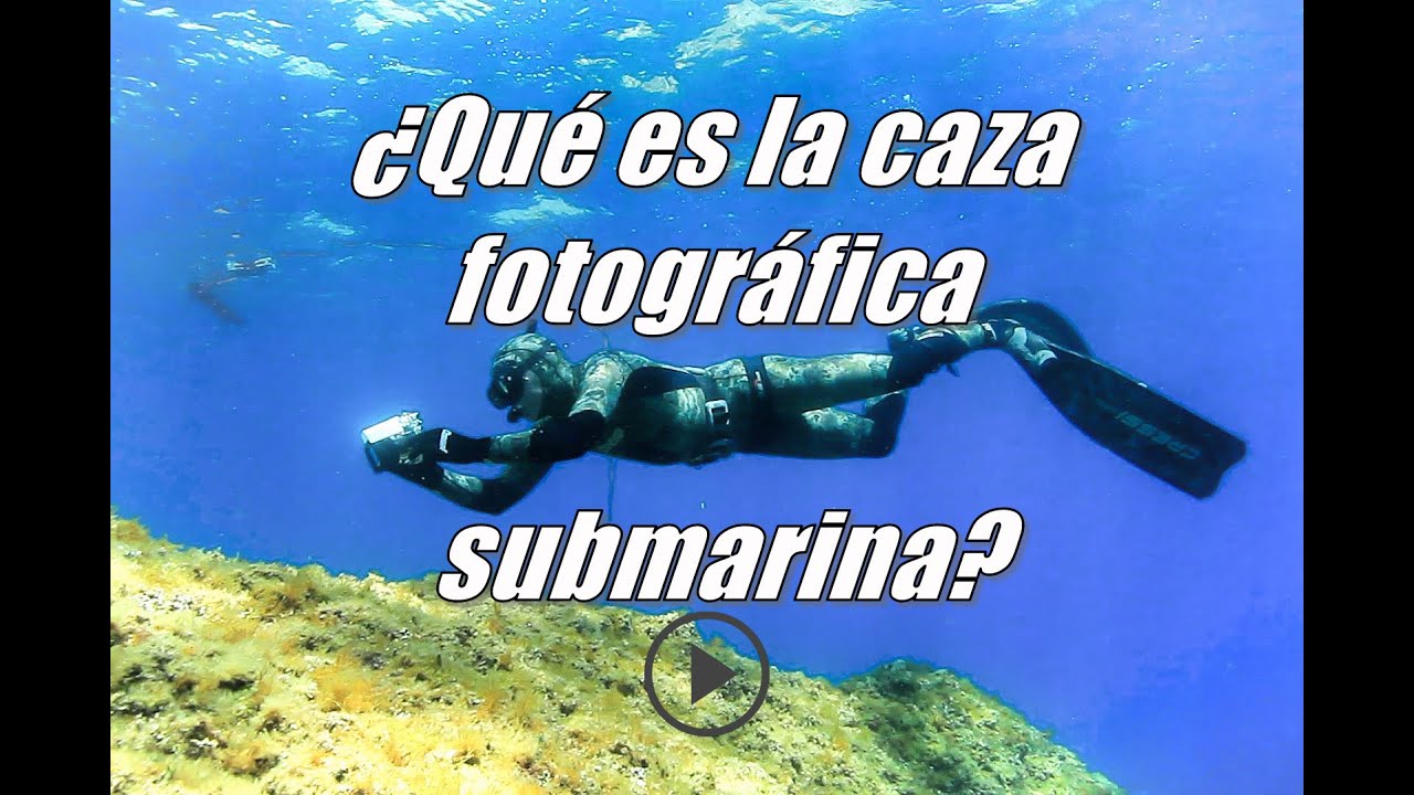 &iquest;Qu&eacute; es la caza fotogr&aacute;fica submarina? Underwater fish photography