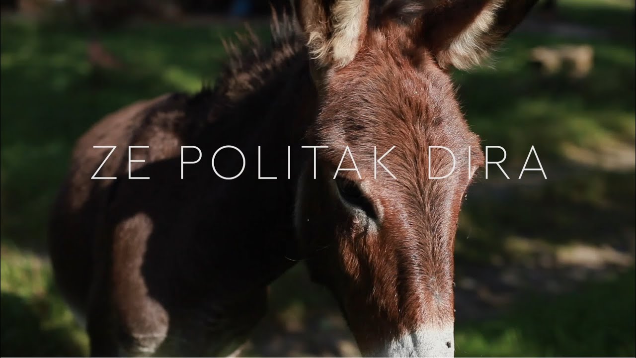 ZE POLITAK DIRA