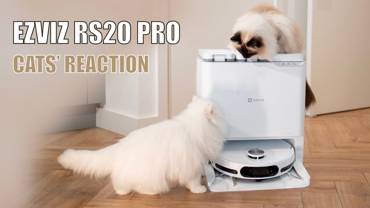 Cats' reaction to EZVIZ RS20 Pro vacuum and mopping robot | mmeowmmia