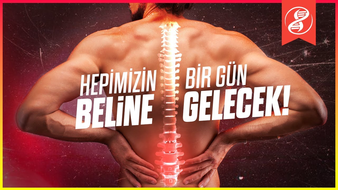Neden Bu Kadar Çok Kişinin Beli Ağrıyor?
