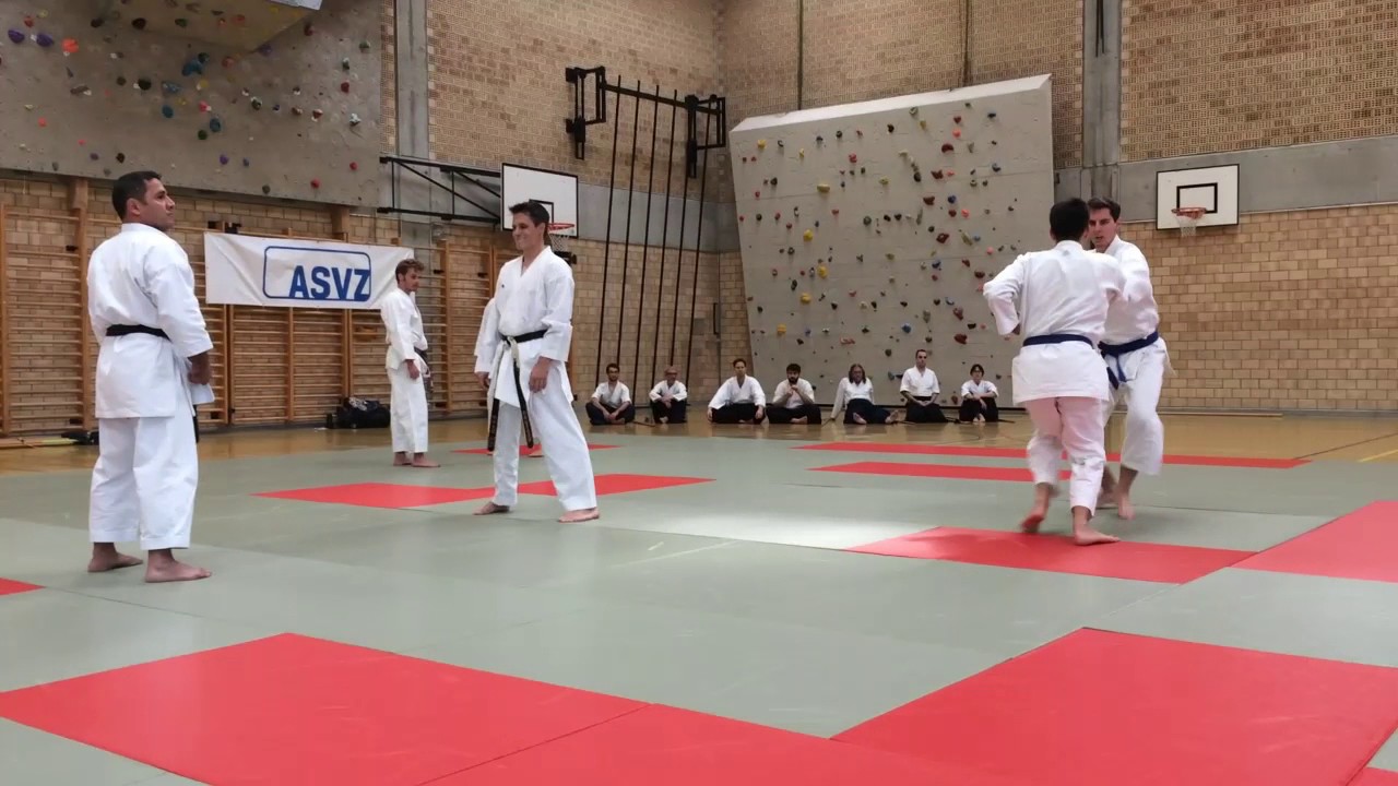 Shotokan Karate im ASVZ
