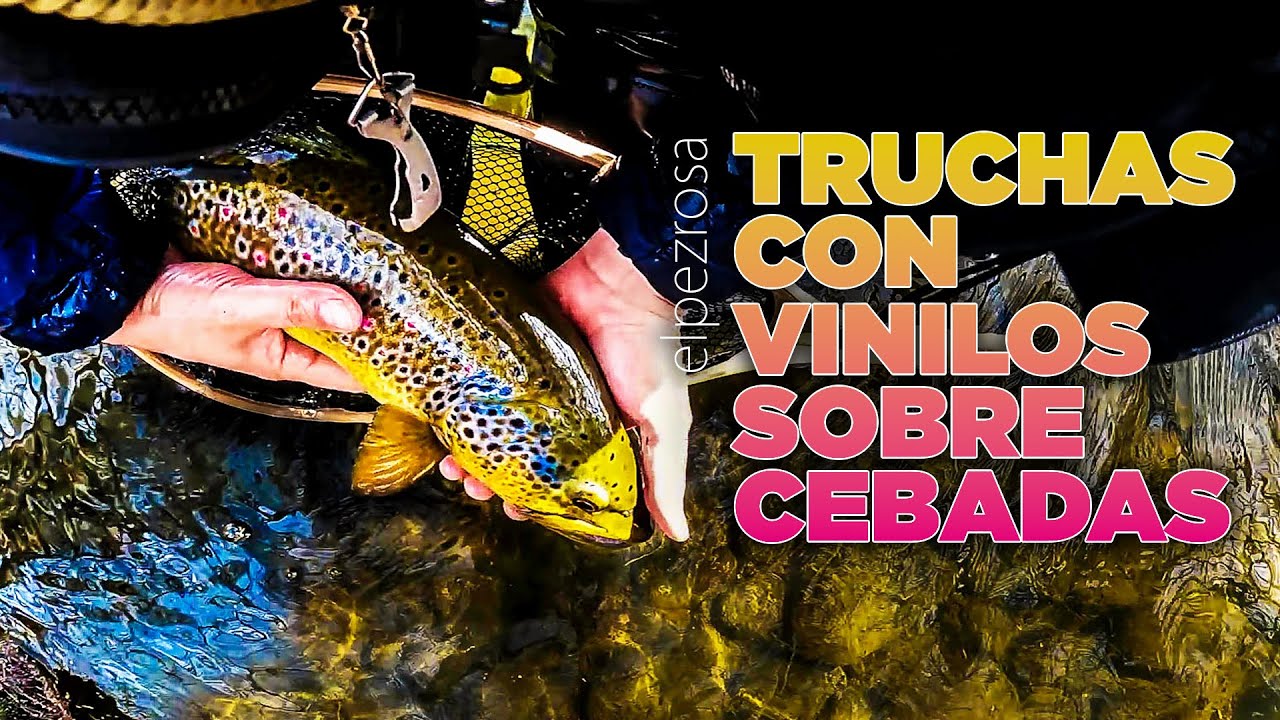 Como pescar truchas grandes con vinilos sobre cebadas