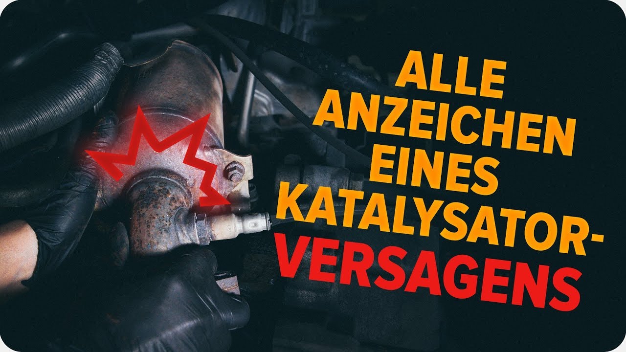 Wie man einen Katalysator überprüft | AUTODOC-Tipps