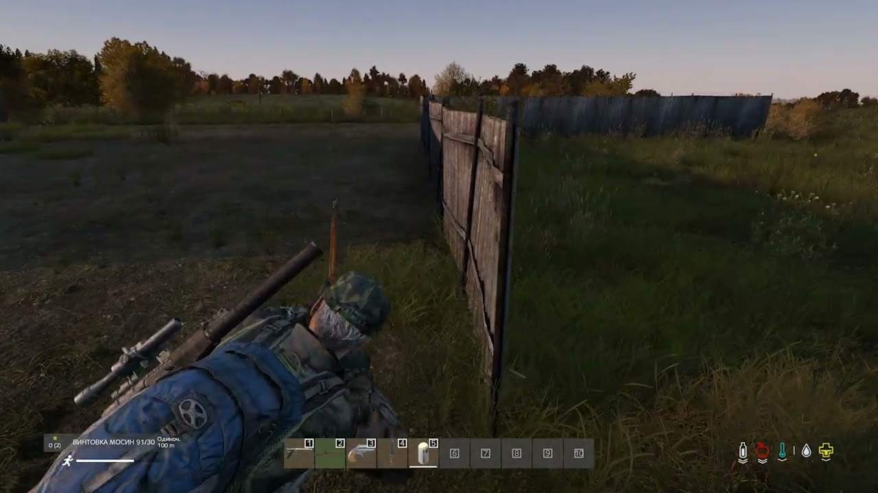 DayZ