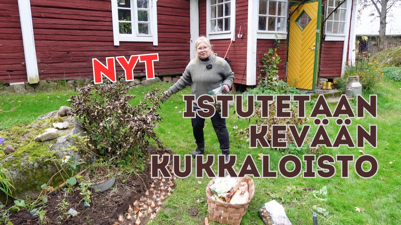 Nyt istutetaan kevään kukkaloisto!