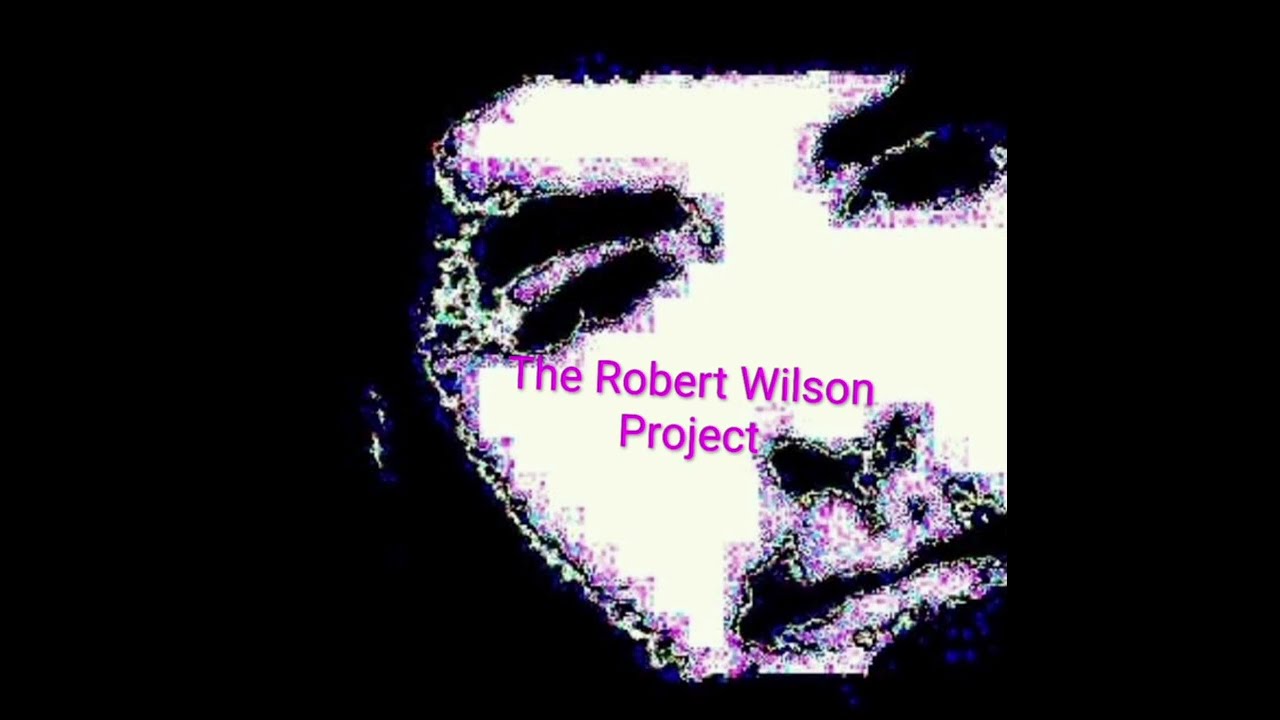 Where The Wild Winds Blow - The Robert Wilson Project..