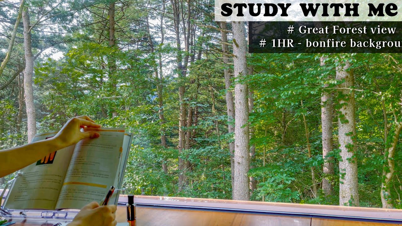🌲리틀 포레스트 속 릴랙스 스터디윗미 🔥 1HR STUDY WITH ME WITH DERMATOLOGY RESIDENT REAL SOUND