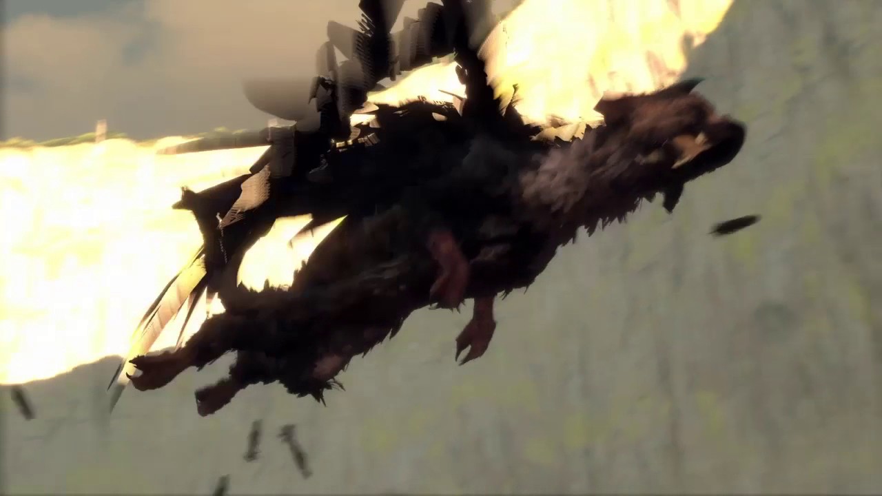 The last guardian bug Trico