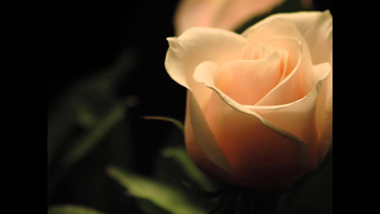 The Rose - Amanda McBroom Duet with Lee Lessack