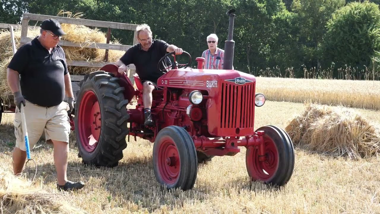 Høst og tærskedag i Øster Hæsinge 14-08-2022