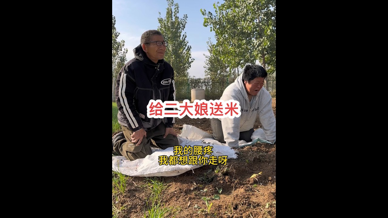 今天俩个活宝来给二大娘送米来了，真是哭笑不得……@海娇（金砖哥嫂子小号） #创作灵感 #我的乡村生活 #新农人计划2024