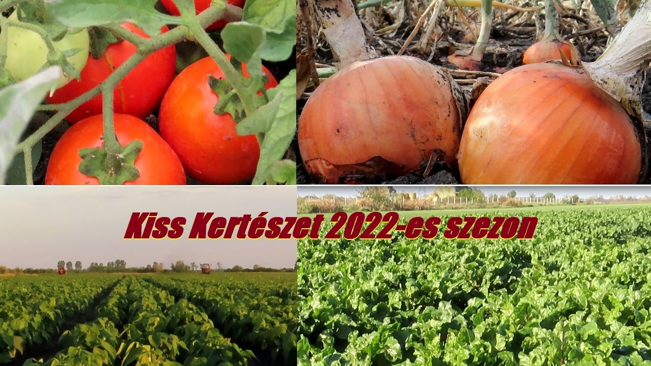 2022-es szezon Kiss Kertészet