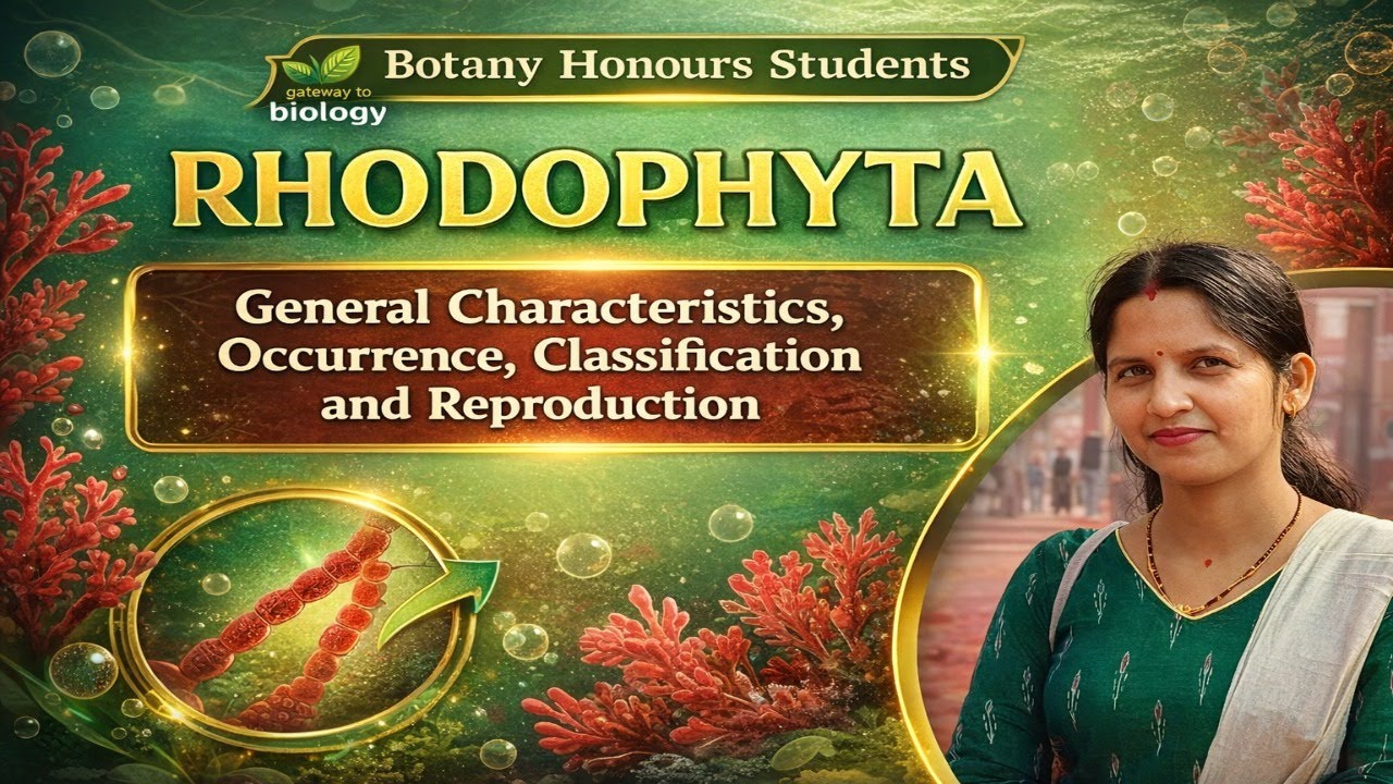 Rhodophyta (Red Algae) | Characteristics, Occurrence, Classification & Reproduction | Botany Honours