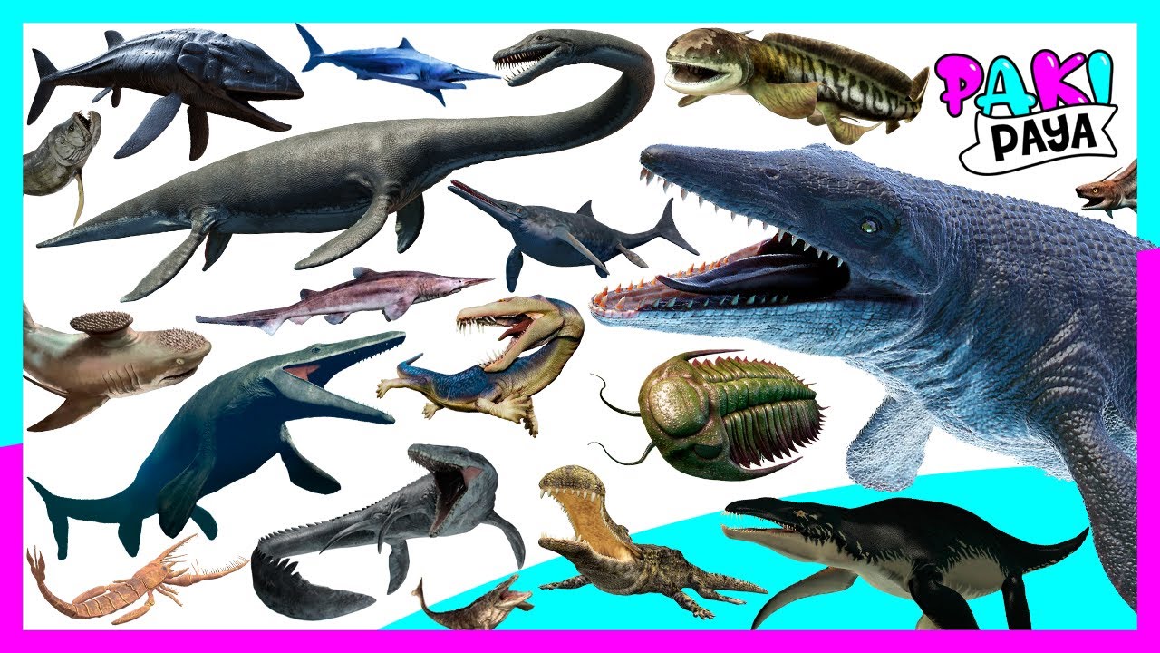 ¡ANIMALES MARINOS PREHISTÓRICOS! PARTE 2 - Prehistoric Sea Animals - Mosasaurio, Plesiosaurio