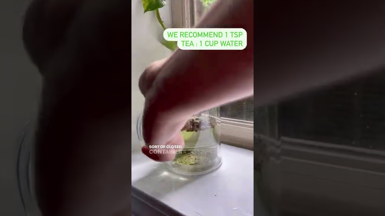 How To Cold Brew Tea