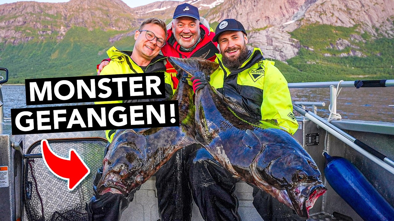 Wir FANGEN den KÖNIG des Nordens! 🤯 Auf Heilbutt & Pollack mit Rainer Korn