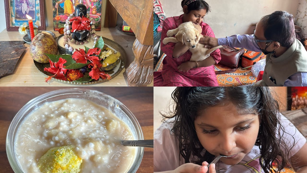 আমার ল্যাব্রাডর সোনার প্রথম Vaccine 💉 | Puppy First Vaccination Vlog | Shivratri Puja Special Day
