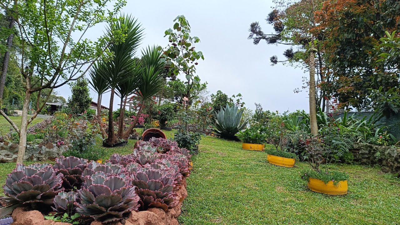 Tour pelo jardim do gramado,com a grama cortada!