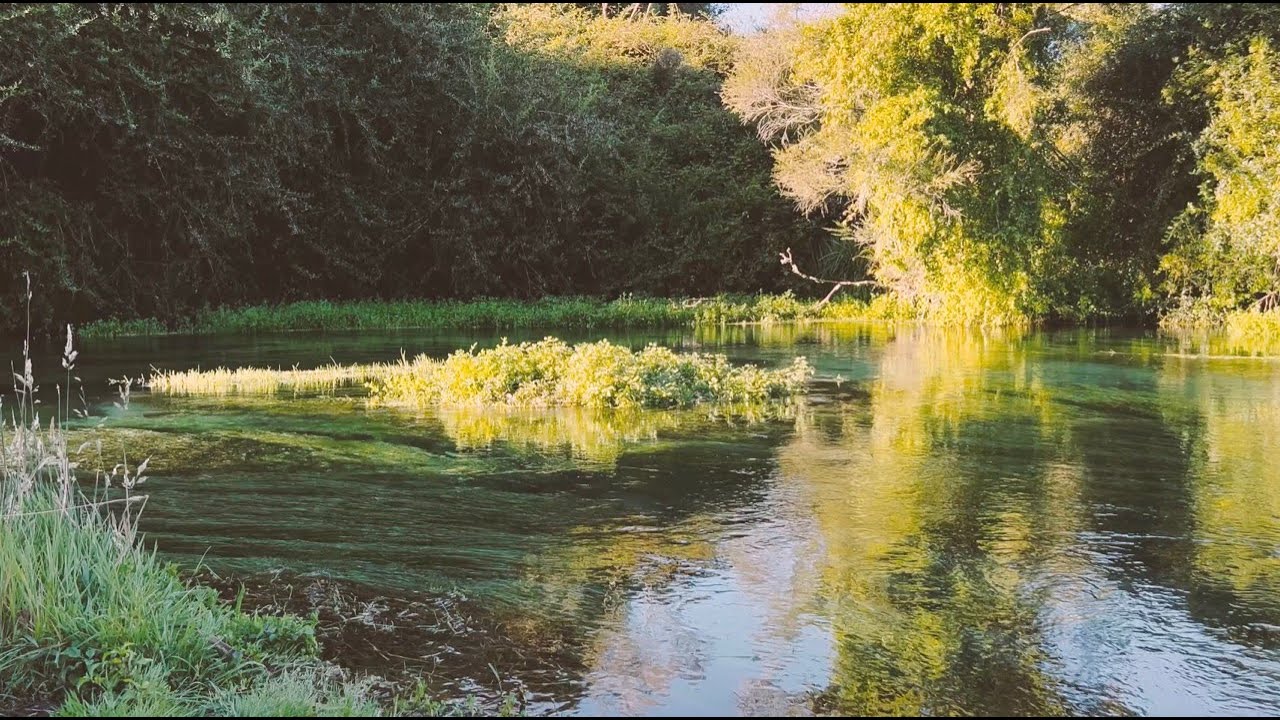 Blue Spring, NZ | Calm Nature Soundscape Music for Study, Relax & Focus