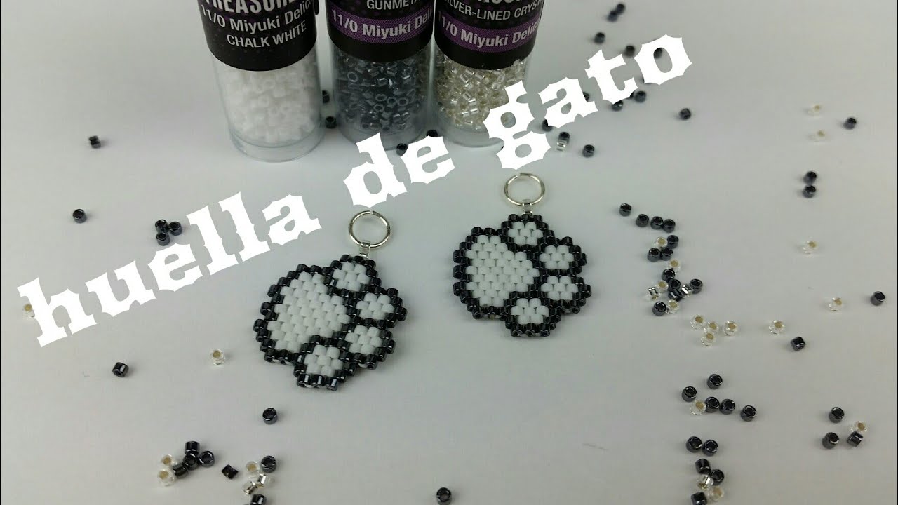 HUELLA DE GATO