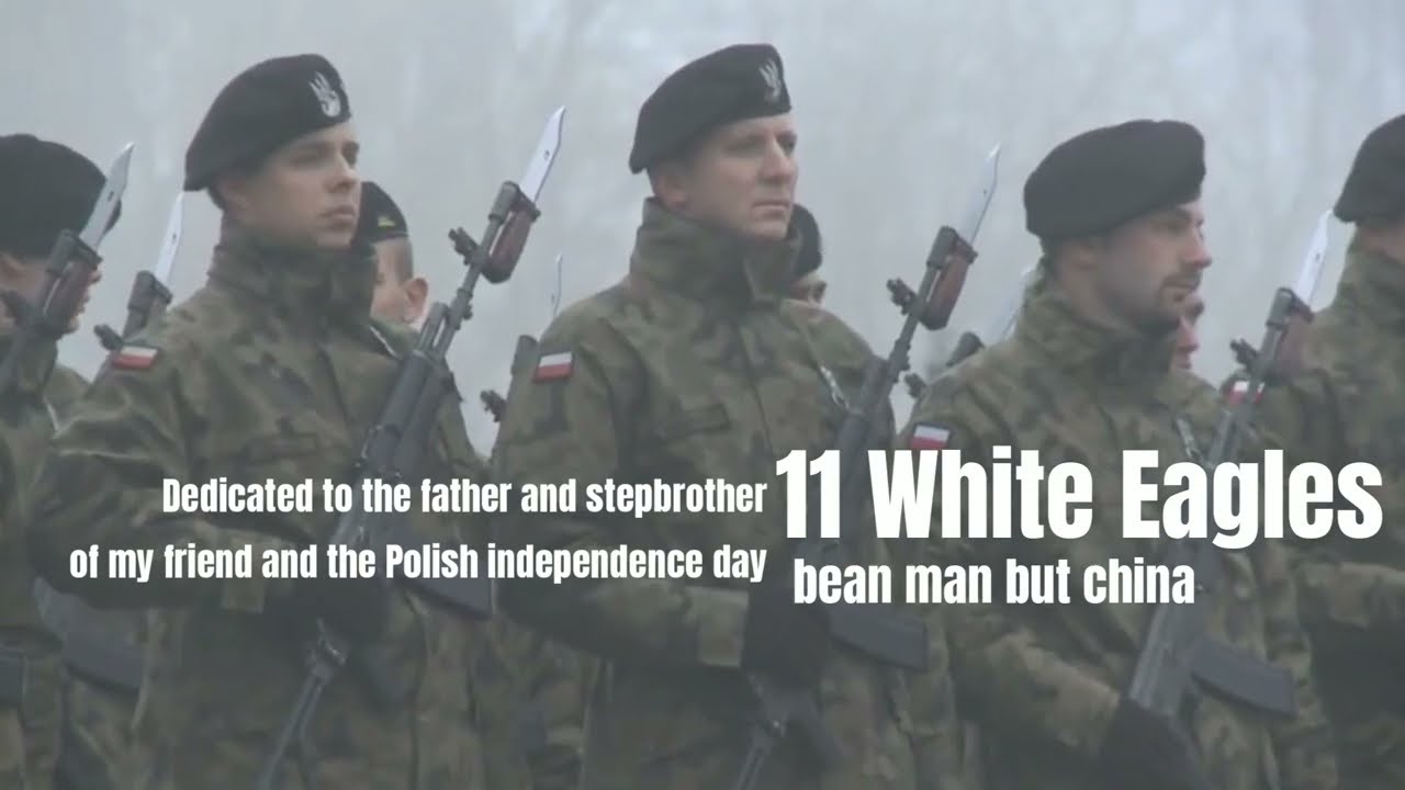 Eleven White Eagles - Polish Troops in Afghanistan