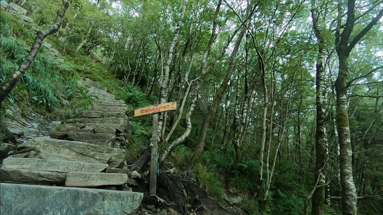 Stoltzekleiven - Sandviksfløien - Munkebotn - Fjellveien 09.08.2020