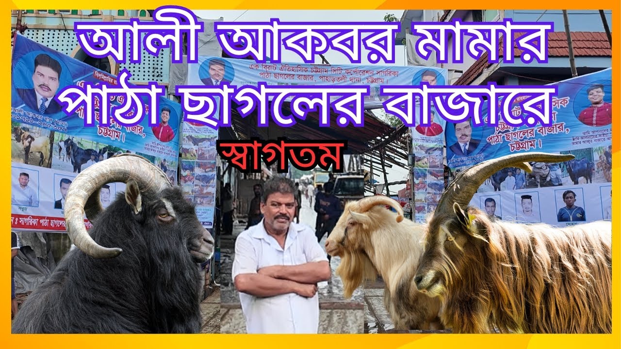 আকবর মামার সাগরিকা পাঠা বাজার | Sagorika Patha Bazar | Monosa Puja | Akbor Mama | 09-08-2024 |