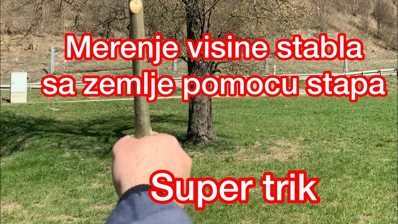 Kako izmeriti visinu Stabla sa zemlje pomocu stapa.Super Trik!