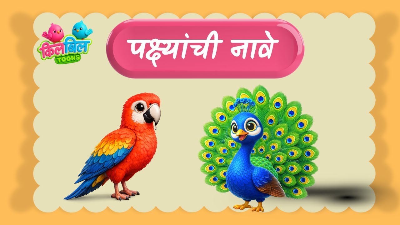 पक्ष्यांची ओळख | 60 Birds Names in Marathi & English | विविध पक्ष्यांची नावे | kids learning video