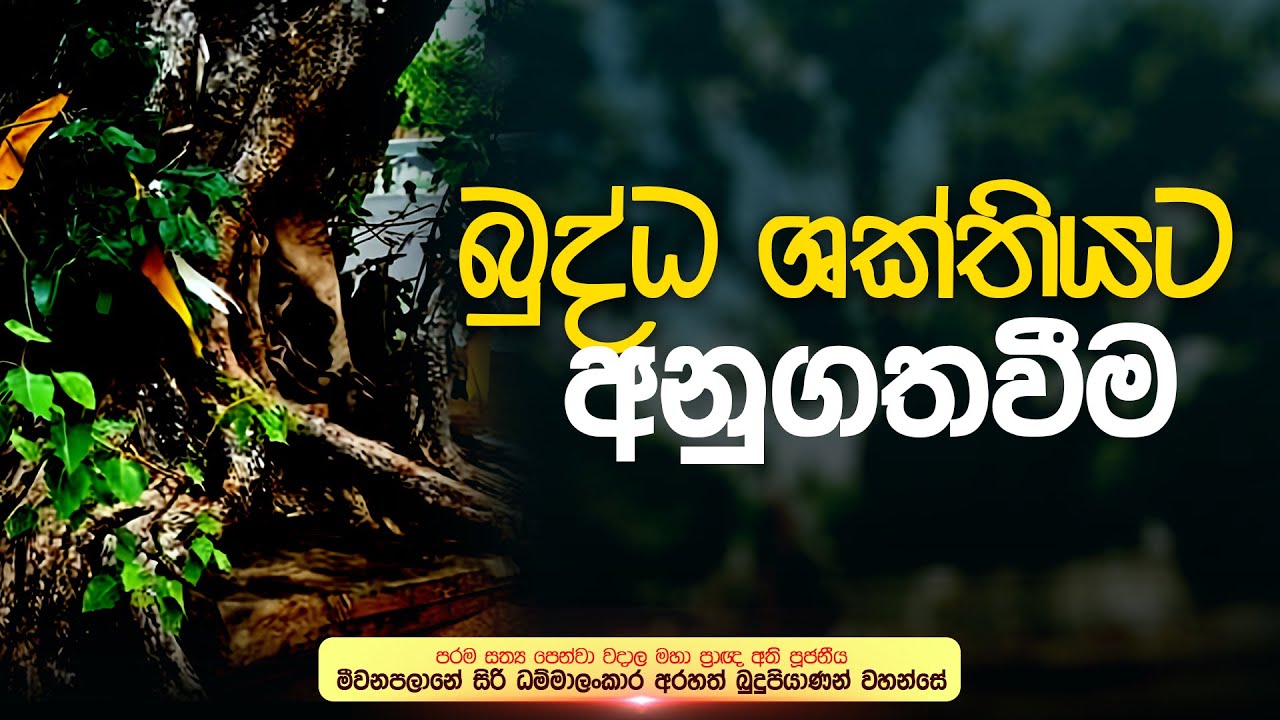 බුද්ධ ශක්තියට අනුගතවීම | මහා ප්‍රාඥ්‍ය  මීවනපලානේ සිරි ධම්මාලංකාර මහ අරහතුන් වහන්සේ
