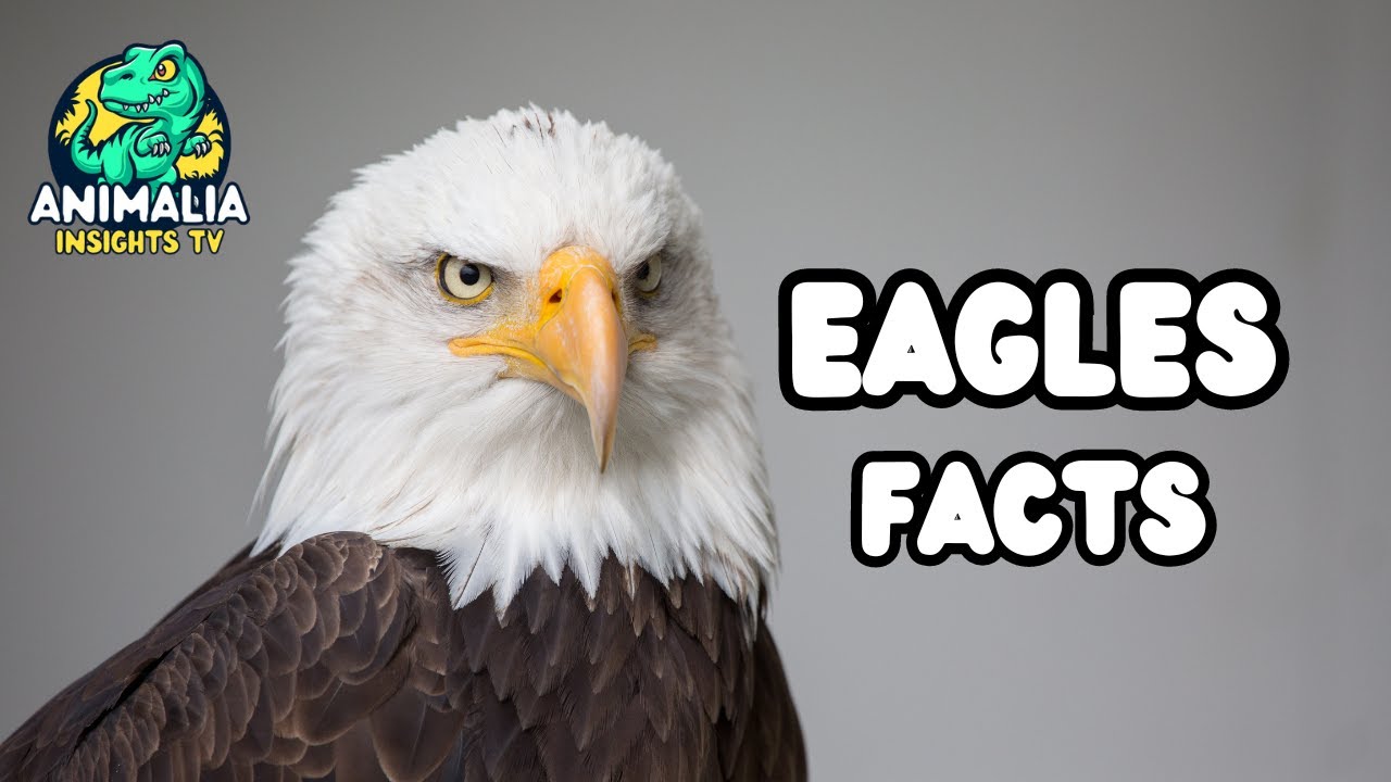 Shocking Revelations About Eagle Behavior