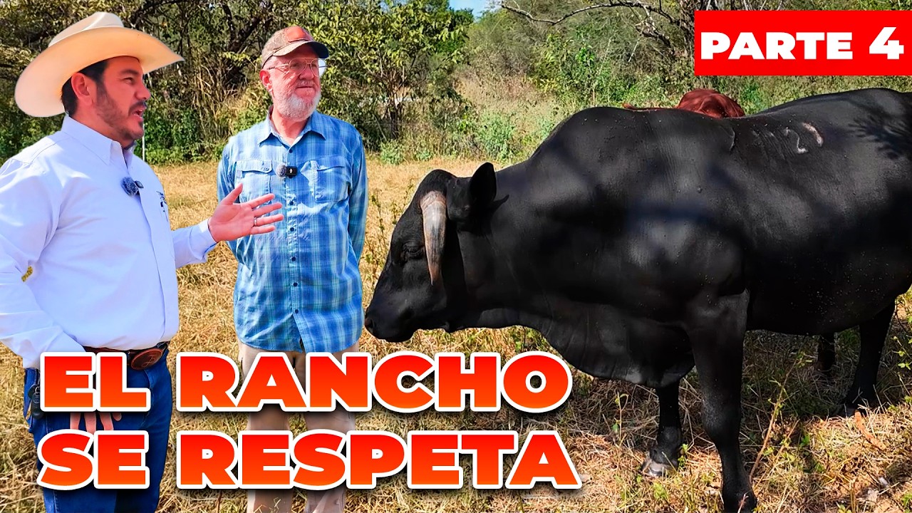 POR VENDER ANIMALES MALOS LO PERDEMOS TODO | Jaime Elizondo | Rancho Cinco Talentos