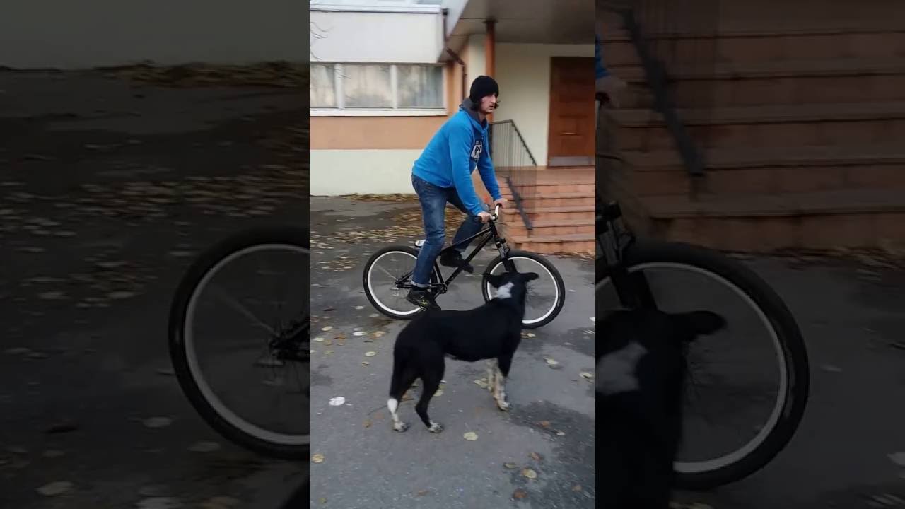 Tailpress + fullcab tries mtb 26