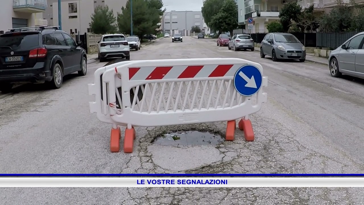 LE VOSTRE SEGNALAZIONI 14 febbraio 2026