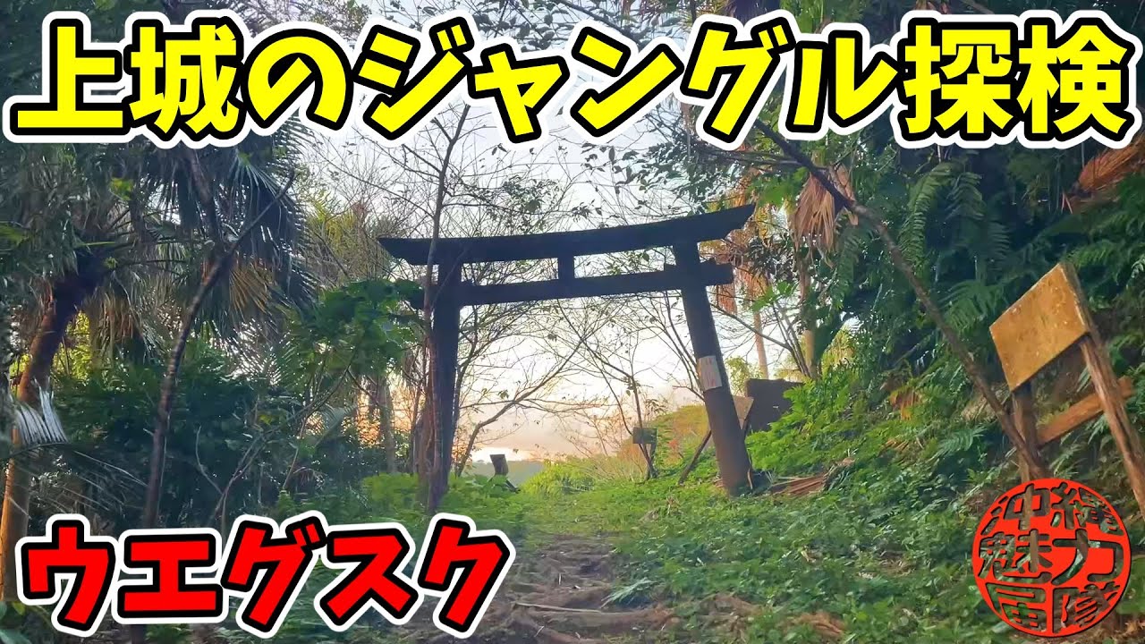 【ウエグスク】上城のジャングル探検とロングビーチ嘉陽海岸を海岸調査！上城・美ら島自然学校・聖火宿泊碑・嘉陽竜宮神・嘉陽ビーチ！