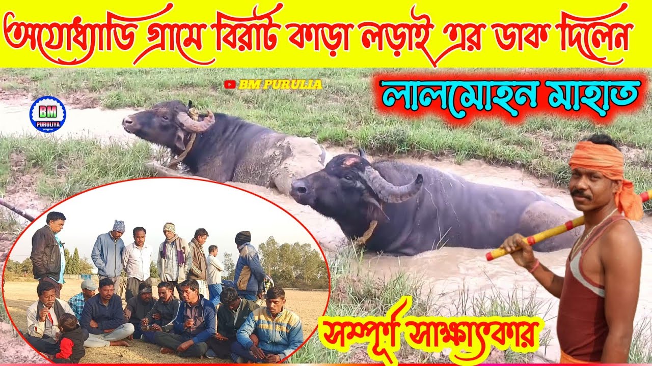 লালমোহন মাহাত বিরাট কাড়া লড়াই এর ডাক দিলেন 💥 #karalorai #bm_purulia 💥