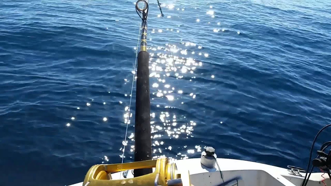 Tonno di 100 kg. pescato in solitario - Giulio Simeone - Tsunami