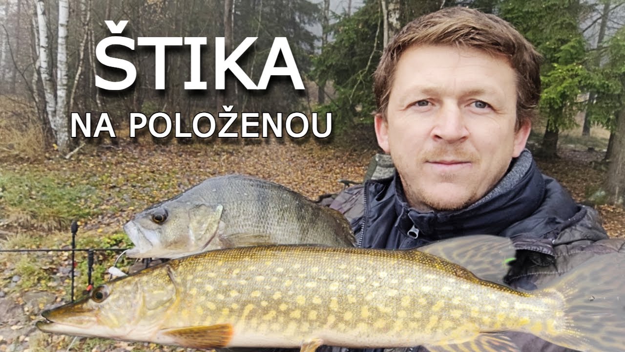 🍀Jak jednoduše chytit👑 ŠTIKY🐟...(( SPRÁVNÝ SYSTÉM!!! ))...