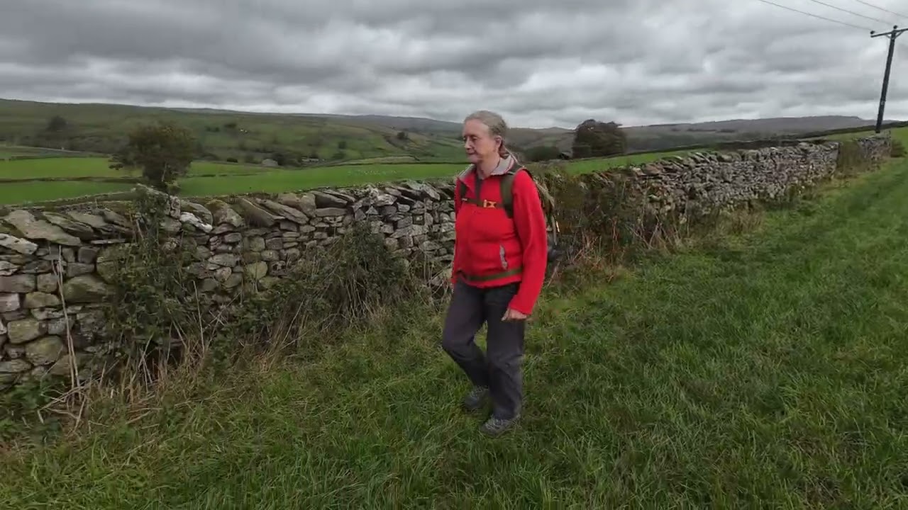 I stumble whilst we are being followed by a herd of cows