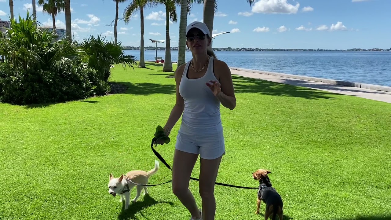 SARASOTA DOG FRIENDLY PARKS AND GO TO SPOTS! | with Shayla Twit, Sarasota Realtor