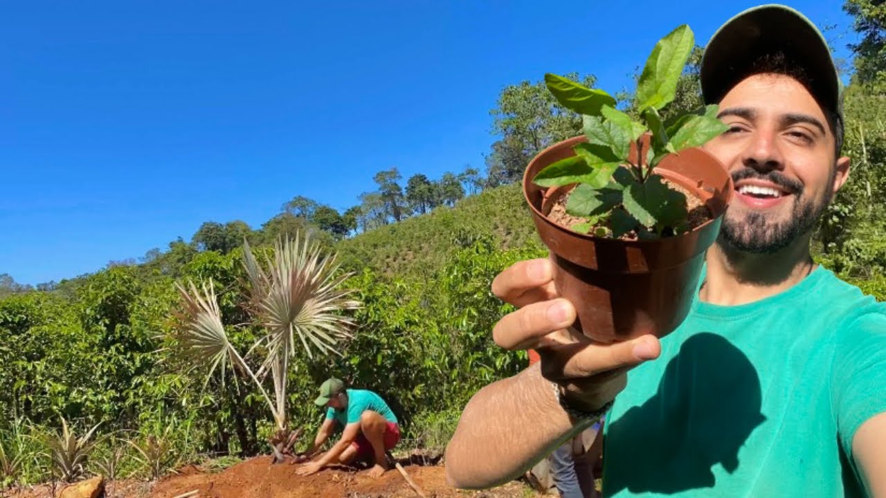 🌱 PLANTANDO MUDAS DE FRUTAS NA ROÇA | GUTIZGRILO