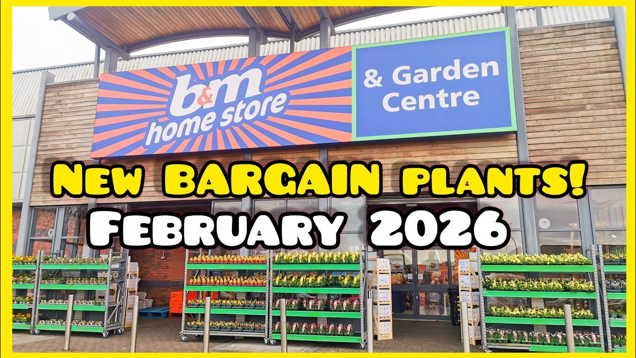 Февраль 2026 г. Новые растения по выгодной цене в магазине B&M + редкие растения в Hillside Exoti...