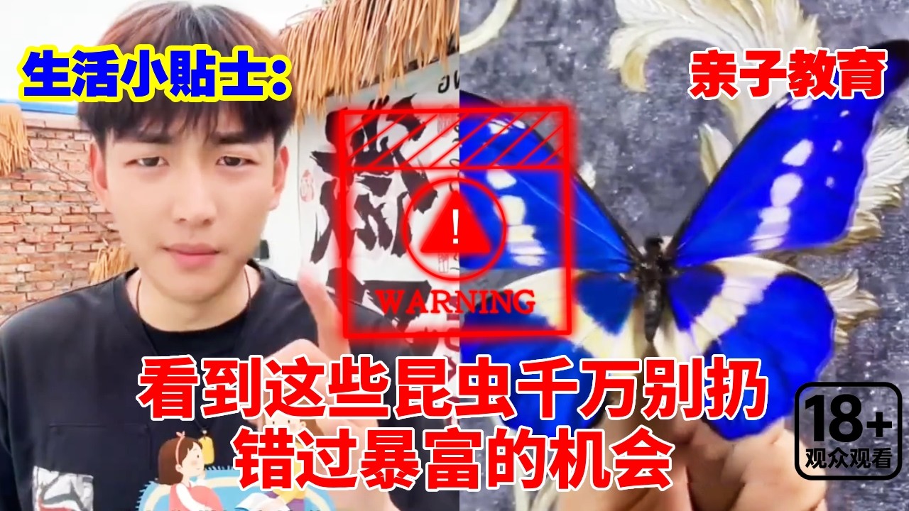 生活小贴士：带娃看到这些昆虫，千万别扔，否则错过暴富的机会！#儿童安全#安全知识#安全教育